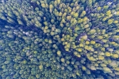 DJI_0091-small